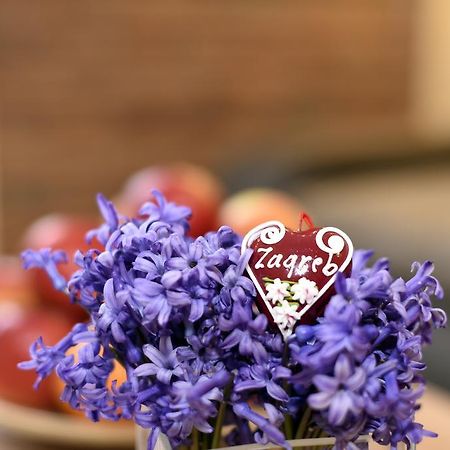 Apartament Zagreb 3 Hearts Zewnętrze zdjęcie